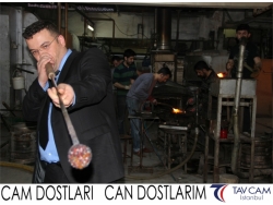 Cam Dostlarım Can Dostlarım